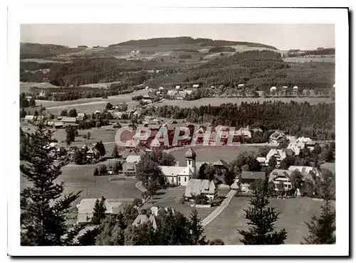 Cartes postales moderne Hinte zarten Schwarzwald