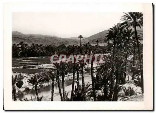 Cartes postales moderne Pain