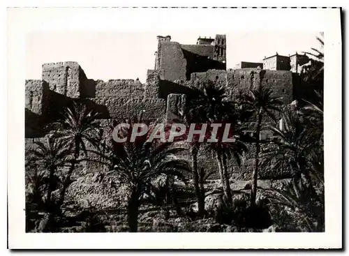 Cartes postales moderne Kasbah et Palmeriae