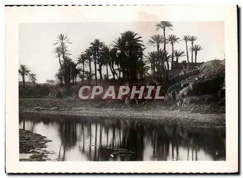 Cartes postales moderne L'Oued Draa