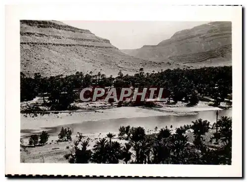 Cartes postales moderne Algerie