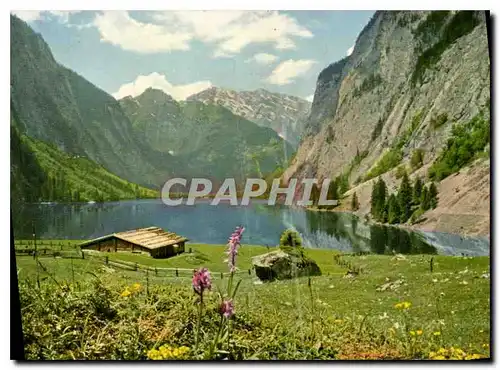 Cartes postales Fischunkelalm am Obersee mit Watzmann