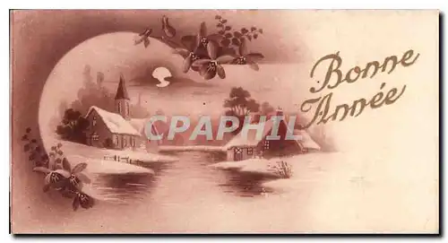 Cartes postales Bonne Annee