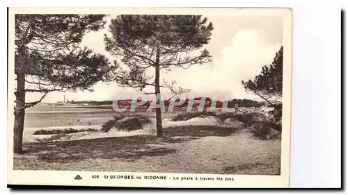Cartes postales St Georges de Didonne le phare a travers les pins