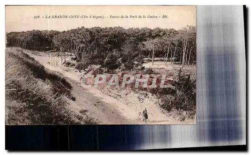 Cartes postales La Grance Cote Cote d'Argent Entree de la Foret de la Coubre