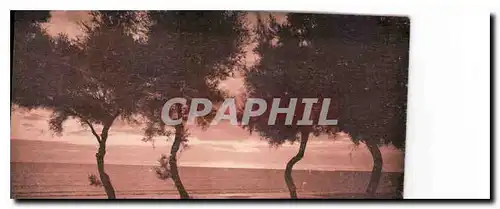 Cartes postales Chatelaillon plage