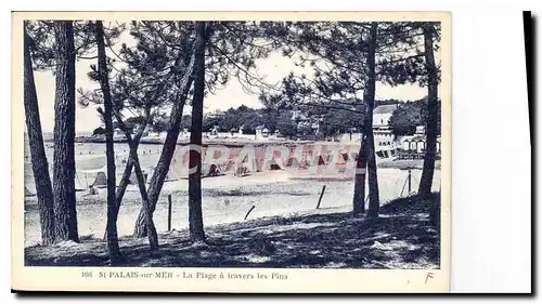 Cartes postales St Palais sur Mer la Plage a travers les pins