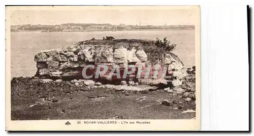 Cartes postales Royan Vallieres l'ile aux mouettes