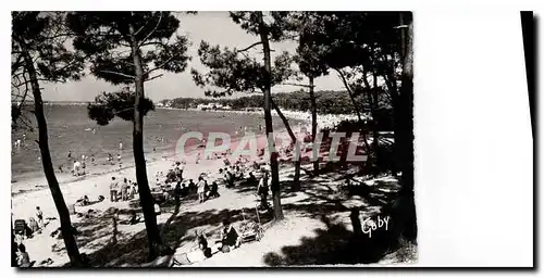 Cartes postales Ronce les Bains Ch Mme la foret et la plage