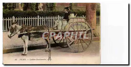 Cartes postales Vichy laitiere Bourbonnaise Ane Mule Folklore TOP