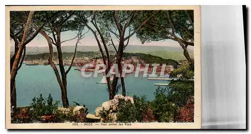 Cartes postales Nice vue entre les Pins