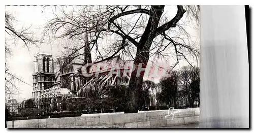 Ansichtskarte AK Paris Notre Dame de Paris depuis les Quais