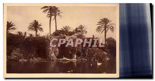 Cartes postales Nice la grotte et la piece d'eau des Jardins Albert Ier