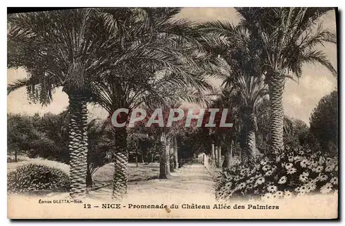 Cartes postales Nice Promenade su Chateau Allee des Palmiers