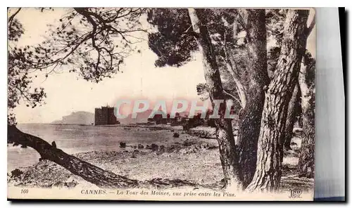 Cartes postales Cannes La Tour des Moines vue prise entre les Pins