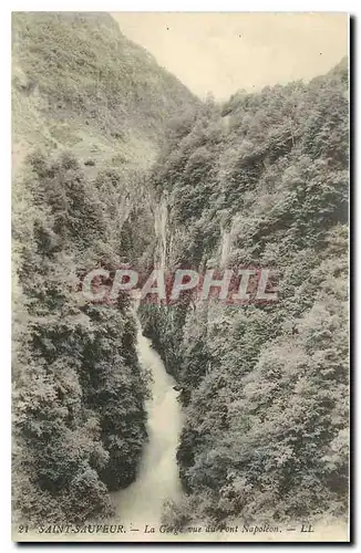 Cartes postales Saint Sauveur La Gorge vue du Pont Napoleon