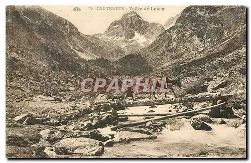 Cartes postales Cauterets Vallee de Lutour Ane Mule