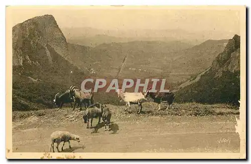 Cartes postales La Douce France Auvergne Environs du Mont Dore Puy de Dome Vallee de la Sioule et les roches San