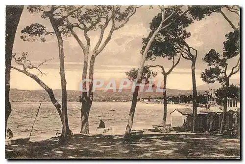 Cartes postales Juan les Pins La pinede et la plage