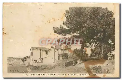 Cartes postales Environs de Toulon Saint Elme Sous les Pins