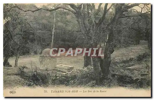 Cartes postales Tamas sur Mer Les Bais de la Rouve