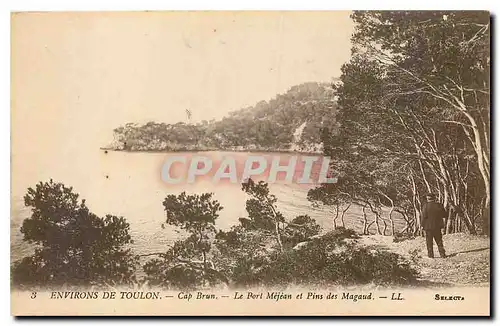 Cartes postales Environs de Toulon Cap Brun Le POrt Mejean et Pins des Magand