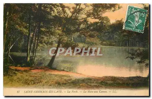 Cartes postales Saint Germain en Laye La Foret La Mare aux Cannes