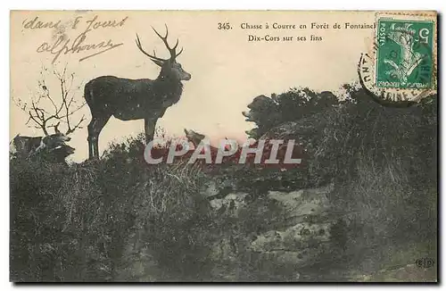 Cartes postales Chasse a Courre en Foret de Fontainebleau Dix Cors sur ses fins Chiens Chien