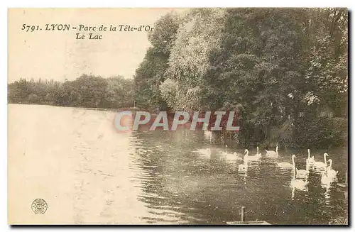 Cartes postales Lyon Parc de la Tete d'Or Le Lac
