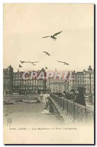 Ansichtskarte AK Lyon Les Mouettes au Pont Lafayette