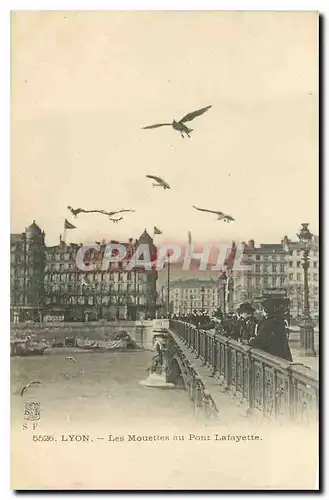 Cartes postales Lyon Les Mouettes au Pont Lafayette