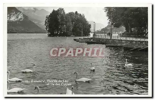 Cartes postales Annecy Bords du Lac et le des Cygnas