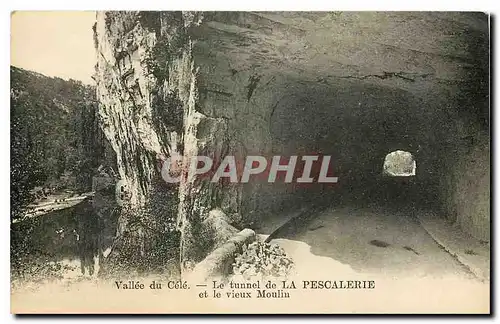 Cartes postales Vallee du Cele Le tunnel de la Pescalerie et le vieux Moulin