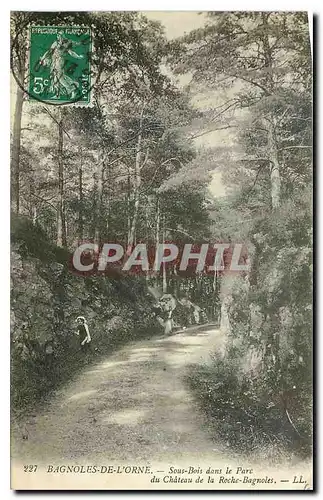 Ansichtskarte AK Bagnoles de l'Orne Sous Bois dans le Parc du Chateau de la Roche Bagnoles