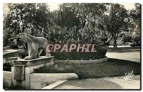 Cartes postales Dijon Les Jardins Darcy Ours Blanc