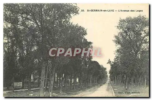 Cartes postales St Germain en Laye L'Avenue des Loges