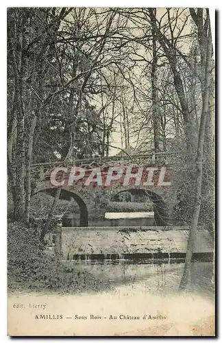 Cartes postales Amillis Sous Bois au Chateau d'Amillis