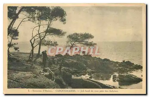 Cartes postales Environs d'Hyeres Carqueiranne joli bord de nier pres des Salettes