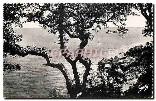 Ansichtskarte AK Ile de Noirmoutier Vendee echappee prise du Bois de la Chaize