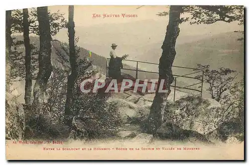 Ansichtskarte AK Les Hautes Vosges Entre la Schlucht et le Hohneck Roche de la Source et Vallee de Munstre