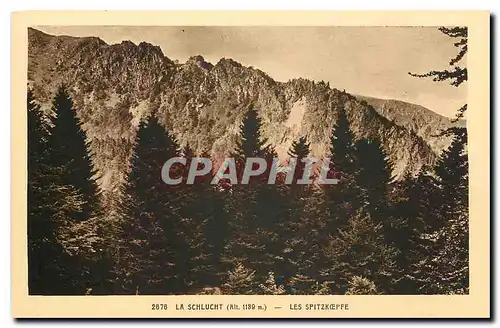 Cartes postales La Schlucht les Spitzkoepfe