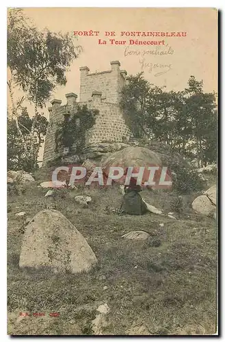 Cartes postales Foret de Fontainebleau la Tour Denecourt