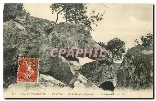 Cartes postales Fontainebleau la Foret la Fontaine Sanguined le Crocodile