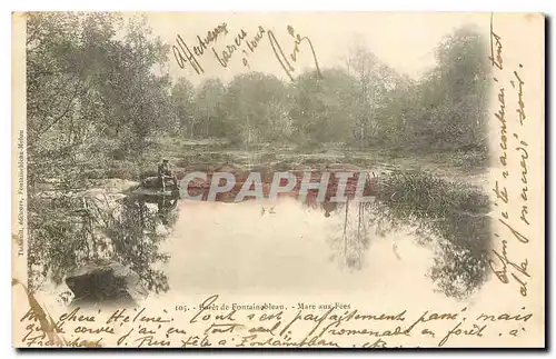 Cartes postales Foret de Fontainebleau Mare aux Fees