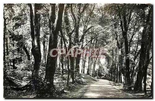 Cartes postales Station Thermale de Bagnoles de l'Orne Allee du Dante