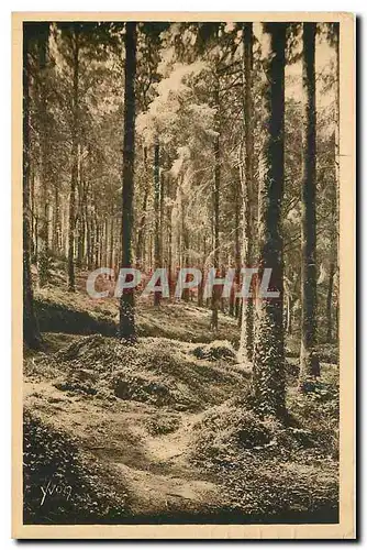 Cartes postales Bretagne Huelgoat Finistere sous bois pres de la Grotte d'Artus