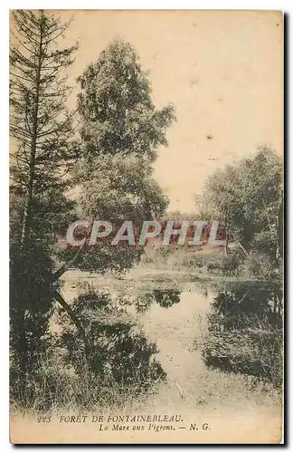 Cartes postales Foret de Fontainebleau la mare aux Pigeons