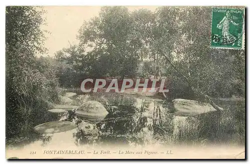 Ansichtskarte AK Fontainebleau la Foret la mare aux Pigeons