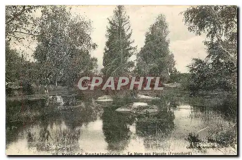 Ansichtskarte AK Foret de Fontainebleau la Mare aux Pigeons