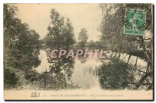 Cartes postales Foret de Fontainebleau Mare aux pigeons